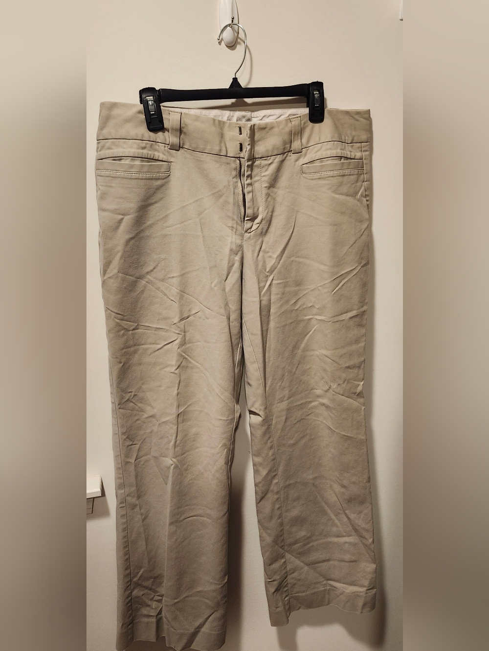 GAP Women's Light Khaki Chinos